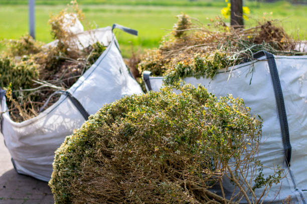 Best Commercial Cleanout Services  in Charleston, WV